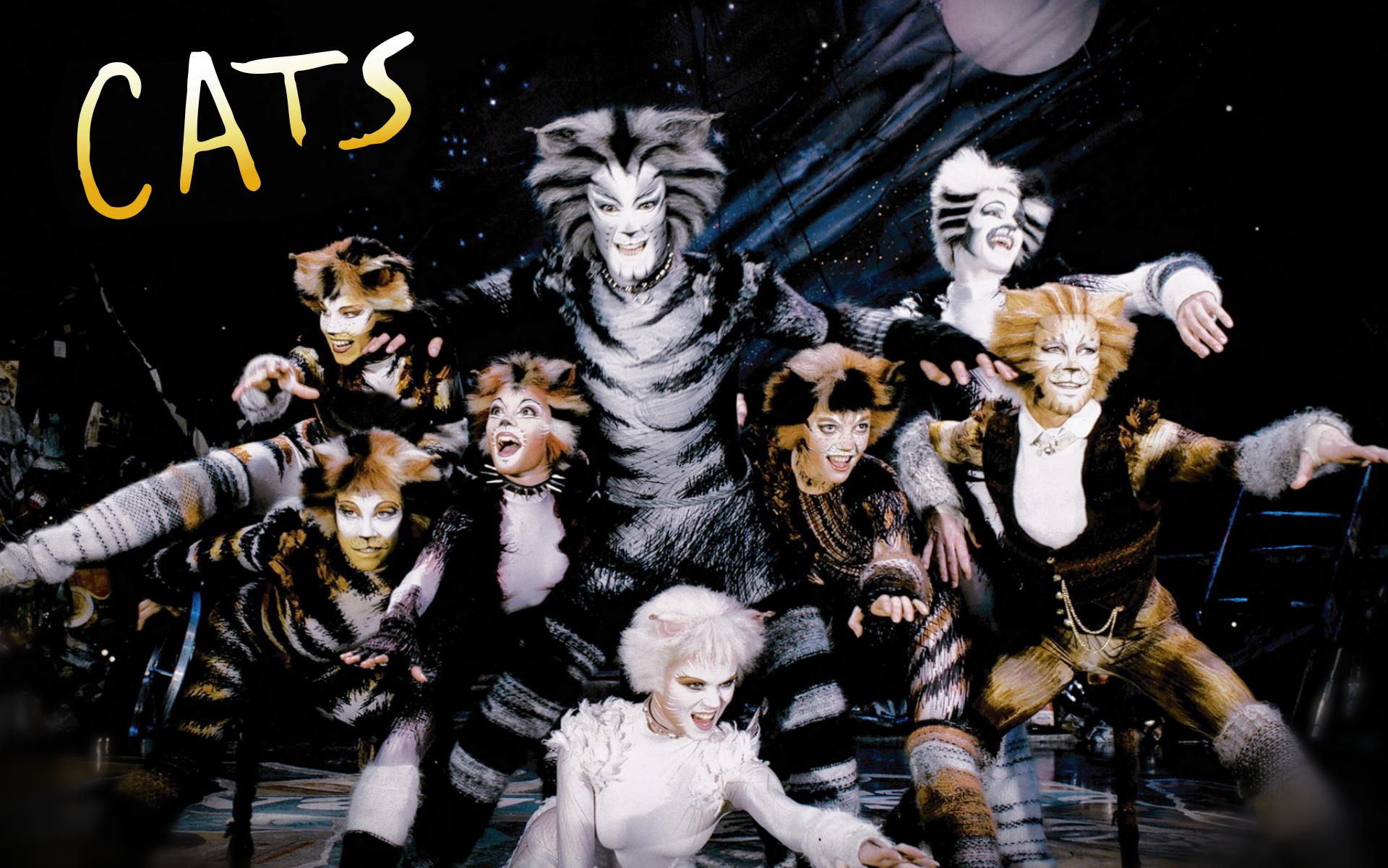 Cats the Musical Review BackChat